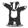 THE BADGER: